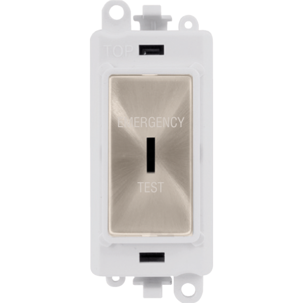 Click GridPro 20AX Double Pole Keyswitch 'Emergency Test' - White - Brushed Stainless – GM2046PWBSET