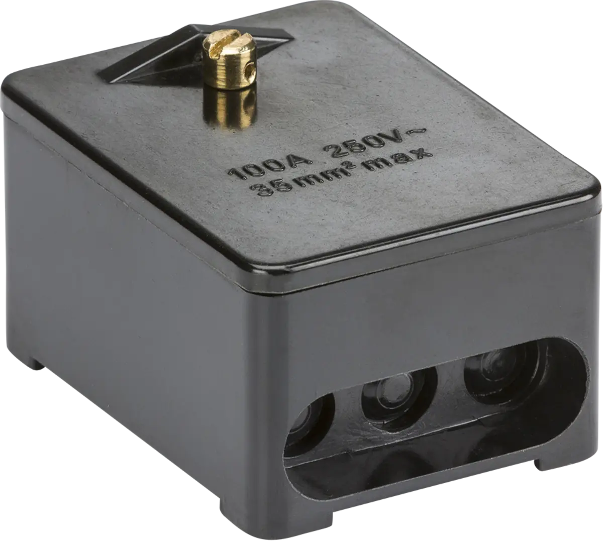 Knightsbridge SNEB1 100A 1 x 5-Way Single Pole Service Connector Block - Brass Terminals
